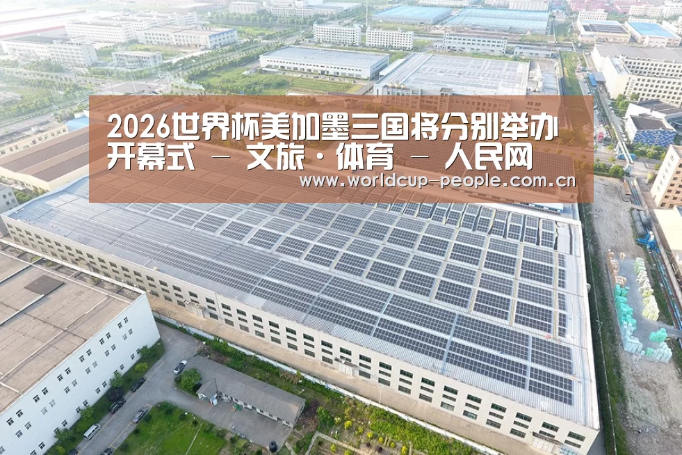 案例展示二