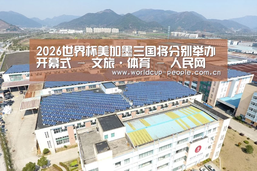 案例展示二
