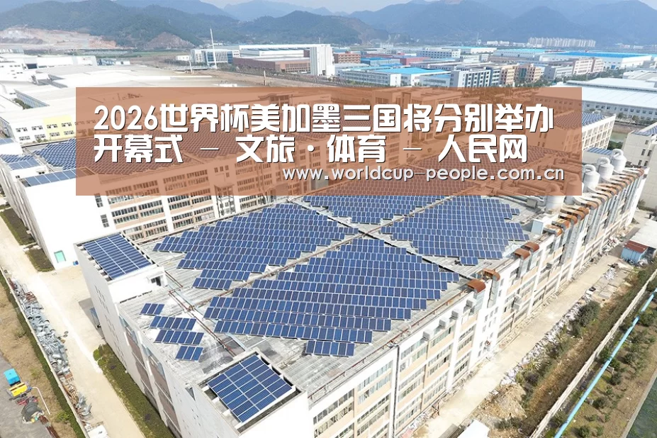 案例展示一