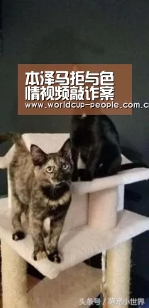 本泽马拒与色情视频敲诈案主角和解:收好你的手吧-世界杯附加赛(图3) 世界杯附加赛